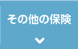 その他の保険