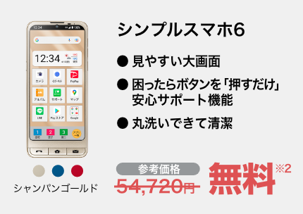 シンプルスマホ6 シャンパンゴールド