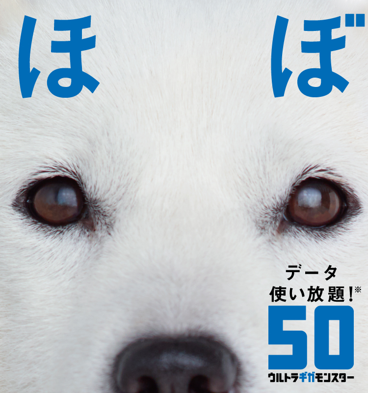 ほぼデータ使い放題!※50ギガ ウルトラギガモンスター
