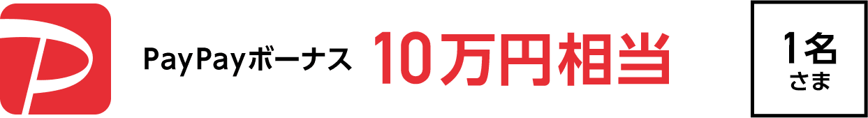 PayPayボーナス 10万円相当　1名さま