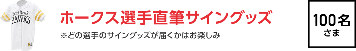 サイングッズ ※どの選手のサイングッズが届くかはお楽しみ 100名さま