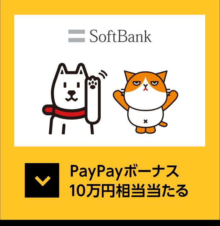 PayPayボーナス 10万円相当当たる