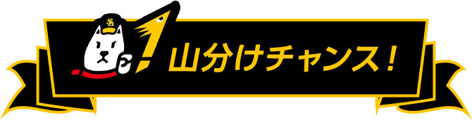 山分けチャンス！
