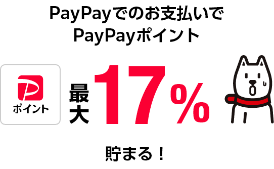 PayPayでのお支払いで最大17%貯まる!