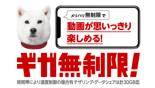 メリハリ無制限で動画が思いっきり楽しめる！ ギガ無制限！ 時間帯により速度制御の場合有テザリング・データシェアは計30GB迄