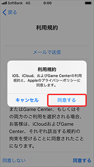 確認画面が表示されたら、再度「同意する」を押します。