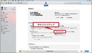 「概要」の「今すぐバックアップ」を選択します。
