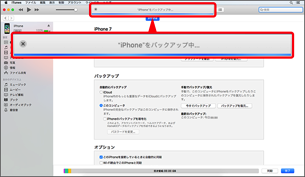 バックアップが開始されます。
