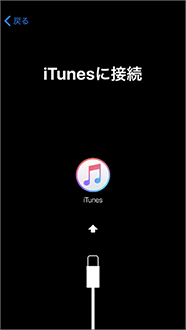 付属のUSBケーブルでiTunesに接続します。