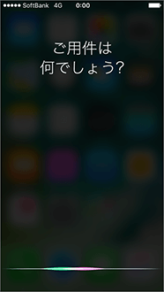 ホームボタンをビープ音が鳴るまで長押しします。
