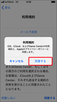 確認画面が表示されますので、「同意する」を押します。