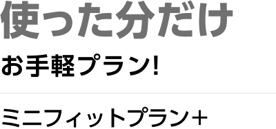 使った分だけ お手頃プラン！ ミニフィットプラン＋