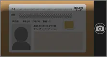 影が入っている
