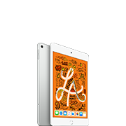 iPad mini