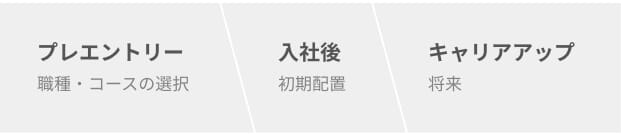 プレエントリー 職種・コースの選択 入社後 初期配置 キャリアアップ 将来